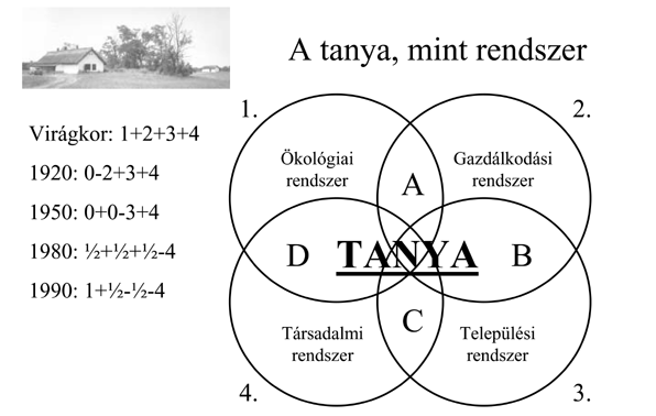 tanyakor.gif (42496 bytes)